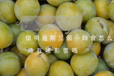 借唄逾期三個小時會怎么樣(借唄逾期三個小時有啥影響嗎)