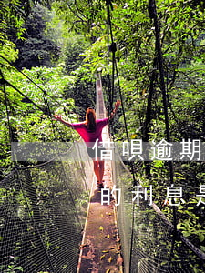 借唄逾期三個月利息怎么算(螞蟻借唄三個月的利息是多少)
