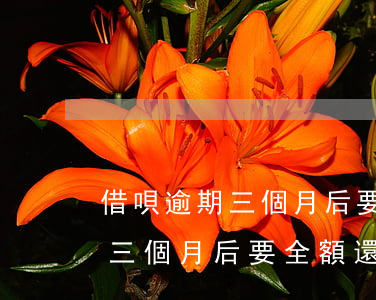 借唄逾期三個月后要全額還款嗎-借唄逾期三個月后要全額還款嗎怎么辦