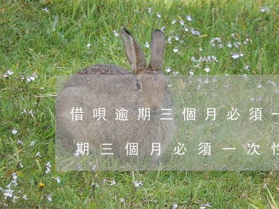 借唄逾期三個月必須一次性還清嗎-借唄逾期三個月必須一次性還清嗎怎么辦