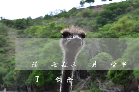 借唄逾期三個月會坐牢嗎(借唄逾期3個月還了還能借嗎)
