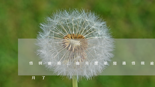 借唄逾期三個月還能開通(借唄逾期超過三個月了)