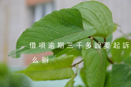 借唄逾期三千多說要起訴(借唄逾期3萬多怎么辦)