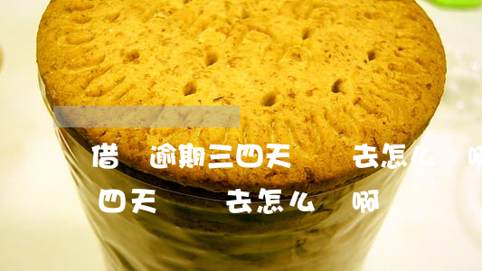 借唄逾期三四天還進去怎么辦啊(借唄逾期三四天還進去怎么辦啊)