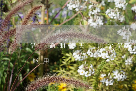借唄逾期三天備用金 借唄逾期三天備用金還能用嗎