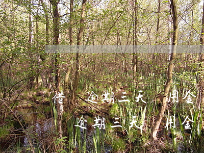 借唄逾期三天備用金還了不能取出來了-借唄逾期三天備用金還了不能取出來了嗎