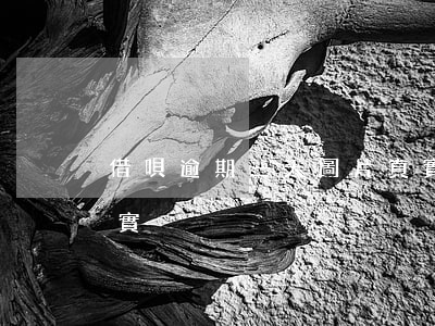 借唄逾期三天圖片真實(借唄逾期三天圖片真實)