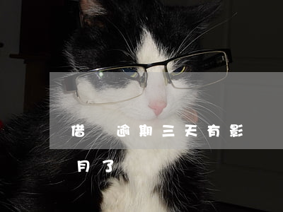 借唄逾期三天有影響嗎6(借唄逾期超過三個月了)