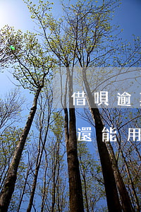 借唄逾期三天要不要全部還(借唄逾期三天還還能用嗎)