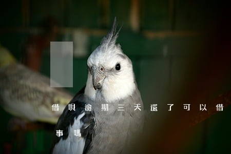 借唄逾期三天還了可以借嗎(借唄逾期3天有事嗎)