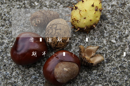 借唄逾期三小時(shí)上征信嗎(借唄逾期半小時(shí)還款會(huì)上征信嗎)
