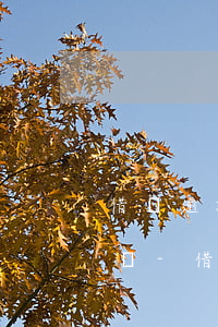 借唄逾期三年2000元會(huì)起訴嗎-借唄逾期三年2000元會(huì)起訴嗎知乎