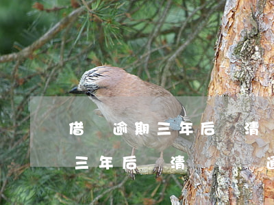 借唄逾期三年后還清還會開通嗎-借唄逾期三年后還清還會開通嗎