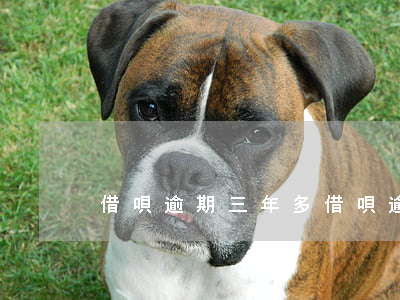 借唄逾期三年多（借唄逾期了兩年多怎么辦）