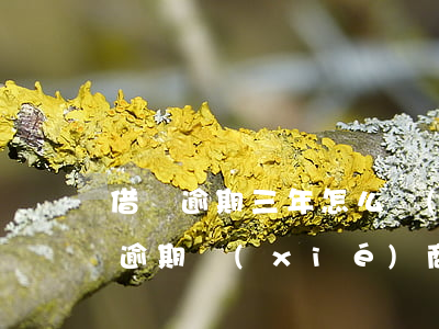 借唄逾期三年怎么協(xié)商分期(借唄逾期協(xié)商分期成功)
