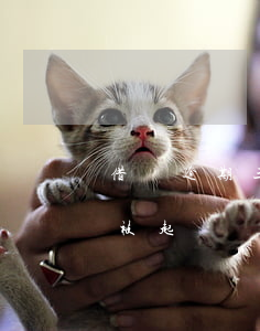 借唄逾期三年還會被起訴嗎(借唄逾期3年會被起訴嗎)