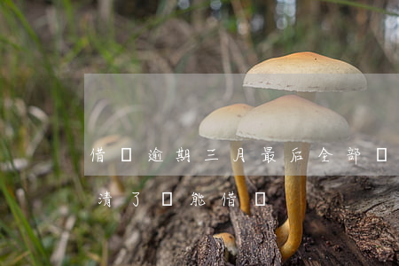借唄逾期三月最后全部還完(借唄逾期3天還清了還能借嗎)