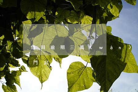 借唄逾期三萬(wàn)多會(huì)上門起訴嗎