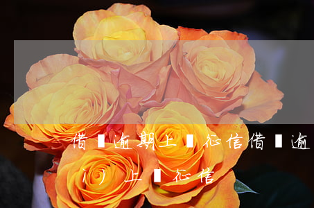 借唄逾期上傳征信(借唄逾期多少天會(huì)上傳征信)