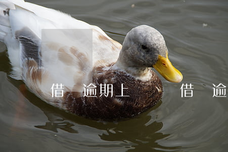 借唄逾期上傳憑證 借唄逾期多久上傳