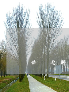 借唄逾期上報(bào)銀行數(shù)據(jù)庫(kù)(花唄借唄逾期多久才能上報(bào)銀行征信的)