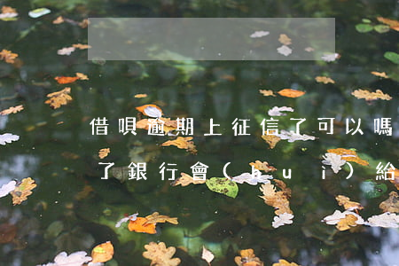 借唄逾期上征信了可以嗎(借唄有逾期上征信了銀行會(huì)給貸款嗎)