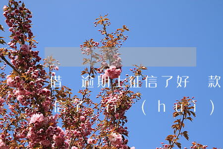 借唄逾期上征信了好貸款嗎(借唄有逾期上征信了銀行會(huì)給貸款嗎)