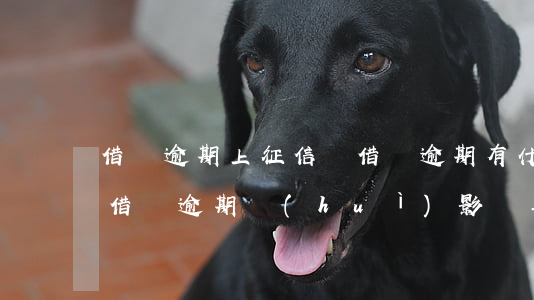 借唄逾期上征信嗎?借唄逾期有什么后果（征信借唄逾期會(huì)影響其他信用卡嘛）