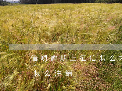 借唄逾期上征信怎么才可以注銷（借唄逾期后怎么注銷）