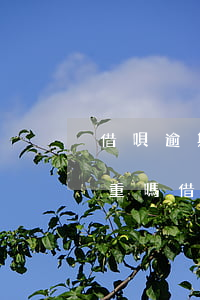 借唄逾期不到一個(gè)月嚴(yán)重嗎(借唄 逾期一個(gè)月)