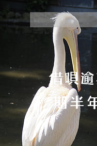 借唄逾期不到一個(gè)月說上門(借唄逾期半年了,他們真的會(huì)上門嗎?)