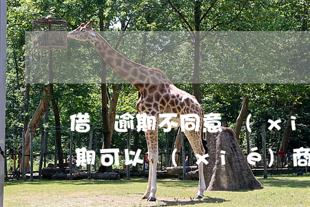 借唄逾期不同意協(xié)商分期(借唄逾期可以協(xié)商還本金或者分期還嗎)