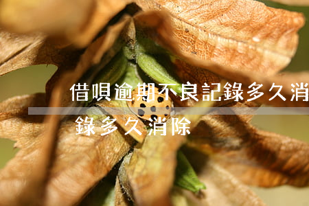 借唄逾期不良記錄多久消除(借唄逾期不良記錄多久消除)