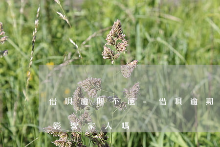 借唄逾期不還-借唄逾期不還會(huì)影響家人嗎