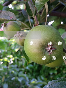 借唄逾期不還會有利息嗎(支付寶借唄可以不還逾期利息,只還本金嗎?)
