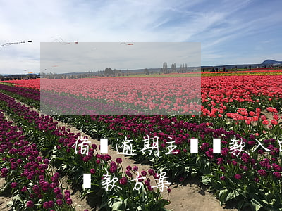 借唄逾期主動還款入口(借唄逾期上重新制定還款方案)