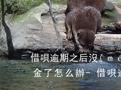 借唄逾期之后沒(méi)有信譽(yù)金了怎么辦-借唄逾期之后沒(méi)有信譽(yù)金了怎么辦呢