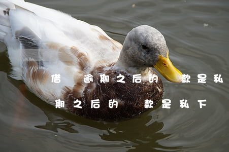 借唄逾期之后的還款是私下還款嗎-借唄逾期之后的還款是私下還款嗎安全嗎