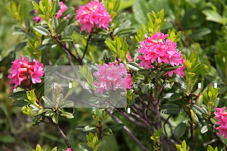 借唄逾期之后能做高鐵嗎(借唄逾期幾個(gè)月了沒(méi)還,現(xiàn)在能不能坐動(dòng)車)