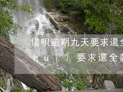 借唄逾期九天要求還全款(借唄逾期多久會(huì)要求還全款?)