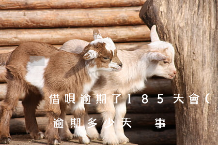 借唄逾期了185天會(huì)怎樣(借唄逾期多少天沒事)