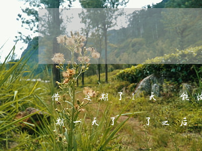 借唄逾期了1天還能恢復(fù)嗎(借唄逾期一天了,還了之后還能再借出來(lái)嗎)