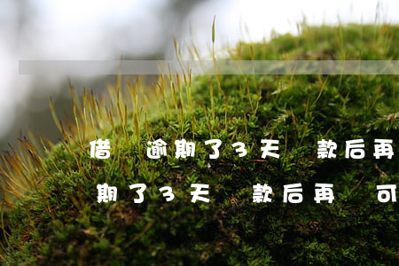 借唄逾期了3天還款后再還可以嗎-借唄逾期了3天還款后再還可以嗎