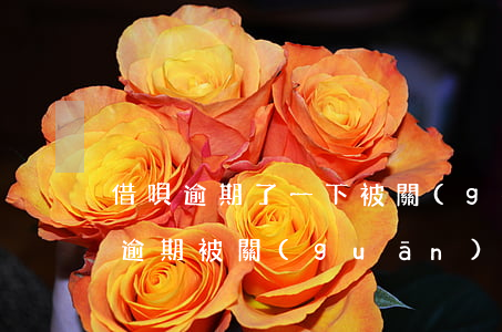 借唄逾期了一下被關(guān)閉了(借唄逾期被關(guān)了還能開嗎?)