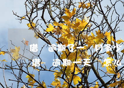 借唄逾期了一個月多少錢(借唄可以逾期多久?借唄逾期一天會怎么樣(2))