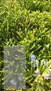 借唄逾期了一個月還了會怎么樣-借唄逾期了一個月還了會怎么樣嗎