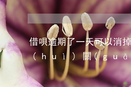 借唄逾期了一天可以消掉嗎(借唄逾期一天會(huì)關(guān)閉平臺(tái)嗎)