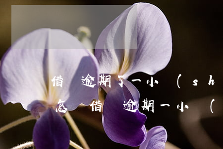 借唄逾期了一小時(shí)會(huì)怎樣(借唄逾期一小時(shí)有啥影響嗎)