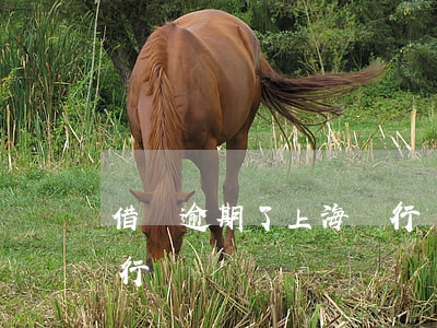 借唄逾期了上海銀行來電(借唄逾期了上海銀行來電)