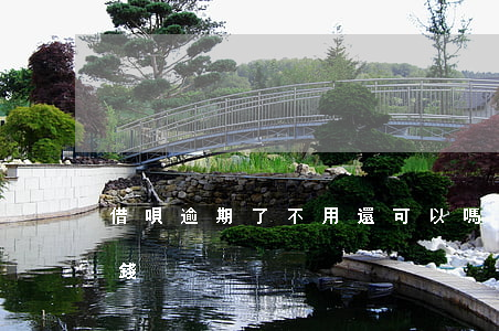 借唄逾期了不用還可以嗎(借唄逾期了還能借錢?)